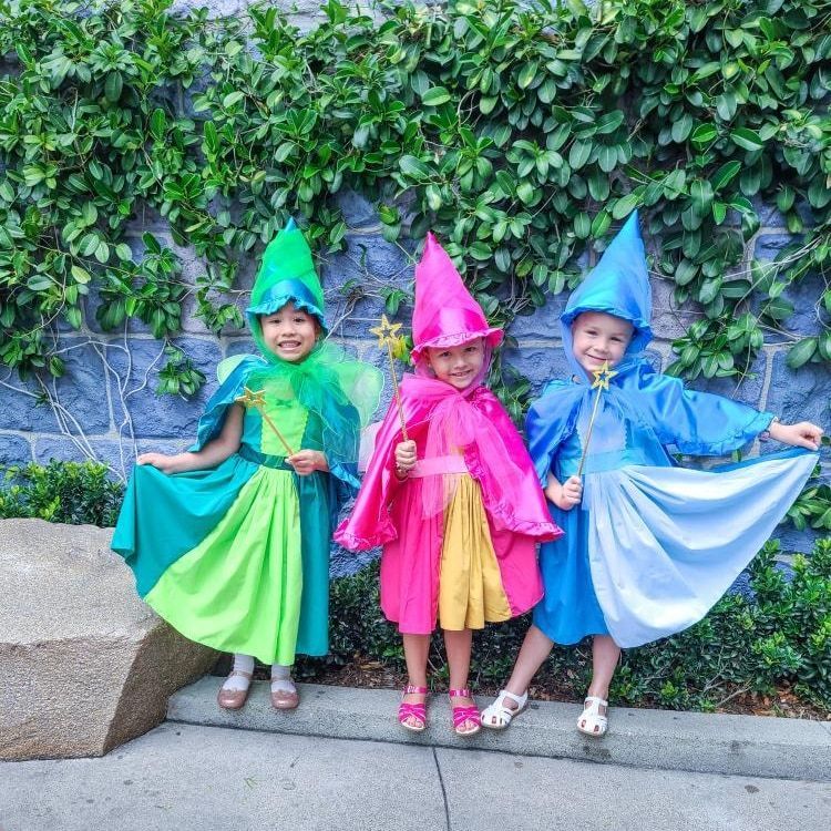 Flora Sleeping Beauty Fairy godmother costume dress for girls LoverDovers Flora Sleeping Beauty Fairy godmother costume dress for girls LoverDovers