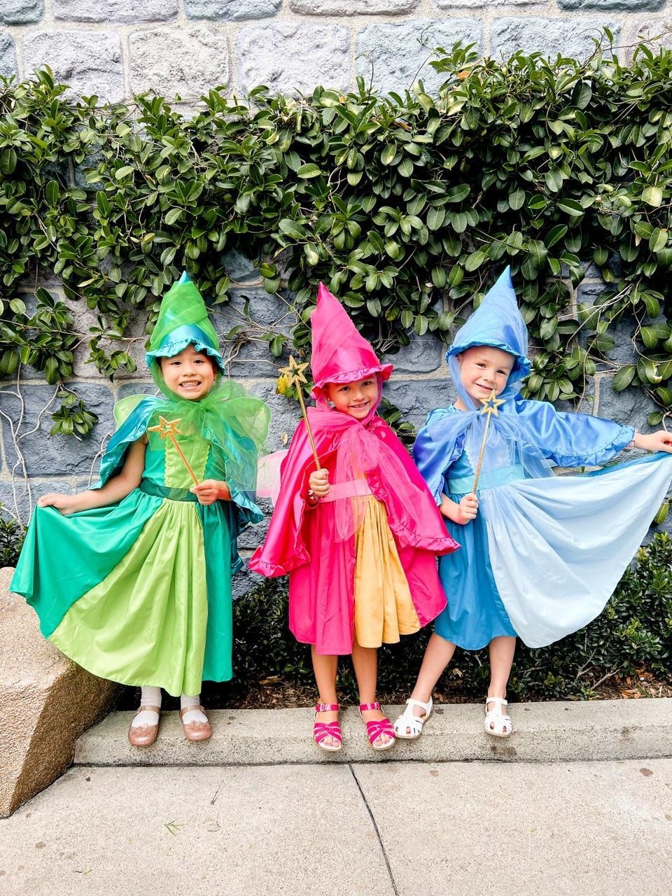 Merriweather Sleeping Beauty Fairy godmother costume dress for girls LoverDovers Merriweather Sleeping Beauty Fairy godmother costume dress for girls LoverDovers