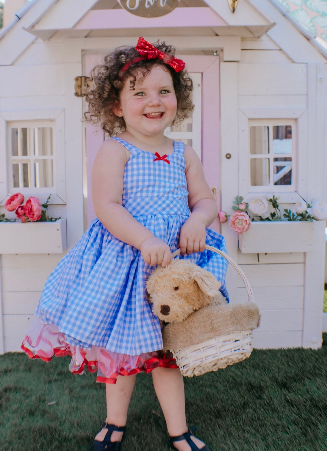 Kansas Blue Checkered Dress Dorothy LADIES KANSAS GIRL COSTUME DOROTHY  FAIRYTALE BOOK DAY CHARACTER FANCY DRESS